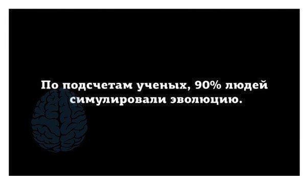 17954234.jpg
