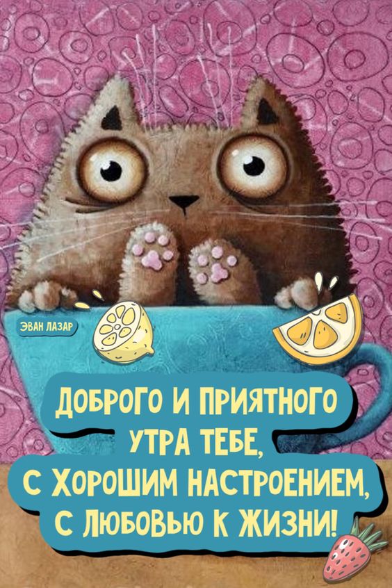 Прикольные и просто красивые картинки 15.09.2023