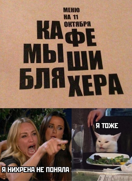 Весёлый полтишок 05.10.23