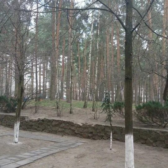Гомель – город над Сожем