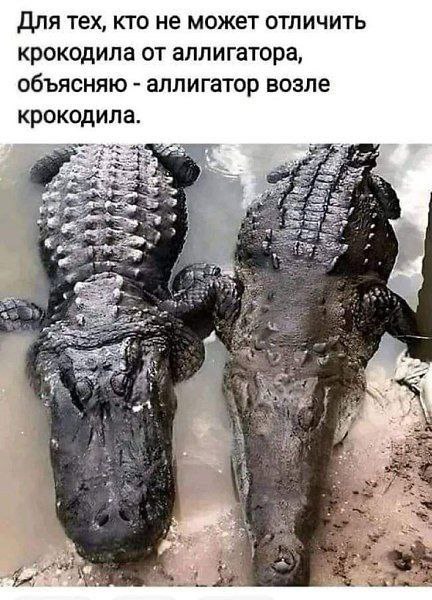 Геннадий