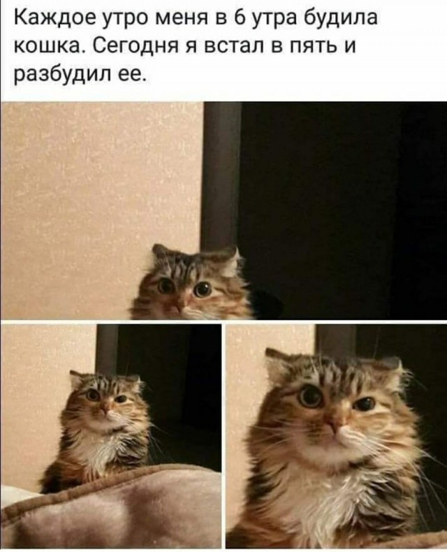 Завалялось тут случайно немного забавных картинок