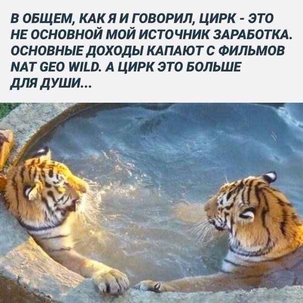 Не очень адекватный юмор