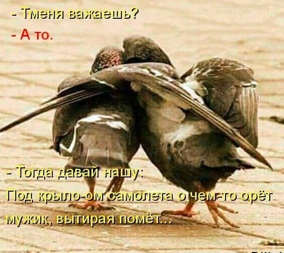 Так себе картинки 01.10.24