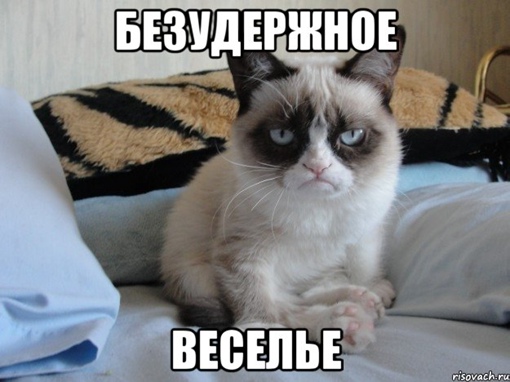 Про Пездово