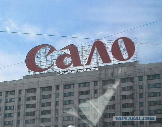 Интересные факты о сале