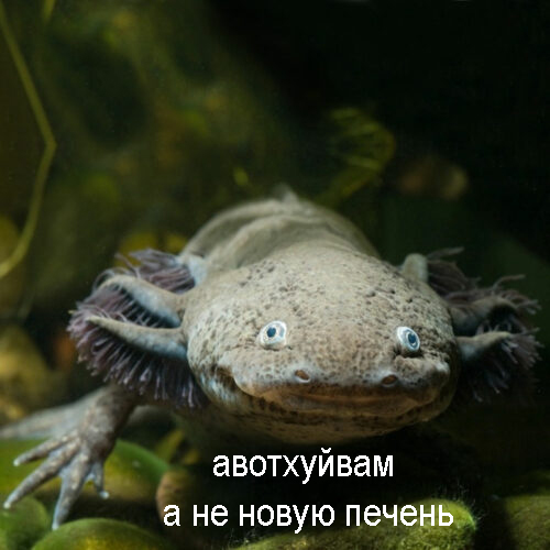 Наука не стоит на месте. Люди вскоре смогут восстанавливать себе внутренние органы и конечности.