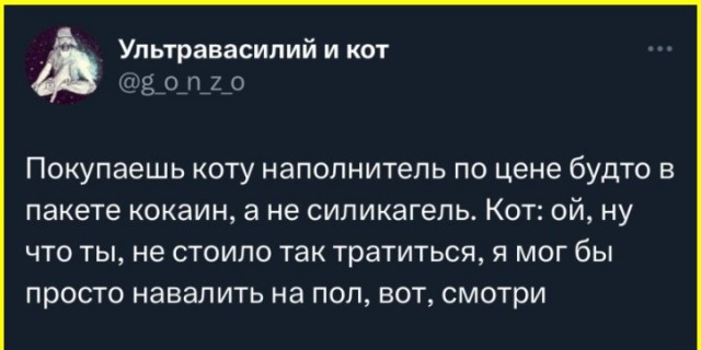 К котовторнику: подборка картинок-баянов с котиками и про котиков. Выпуск 13