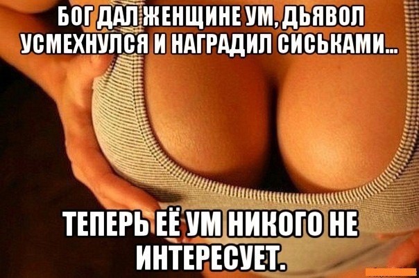 Забавные и не очень скромные картинки - 5
