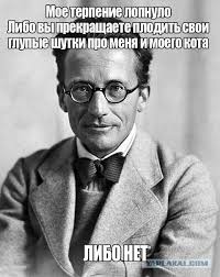 В Тбилиси уличный кот залез в автомат с мягкими игрушками и уснул там
