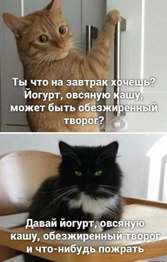 А где Цой?