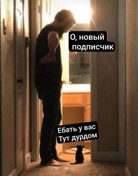 Так себе картинки 15.09.25