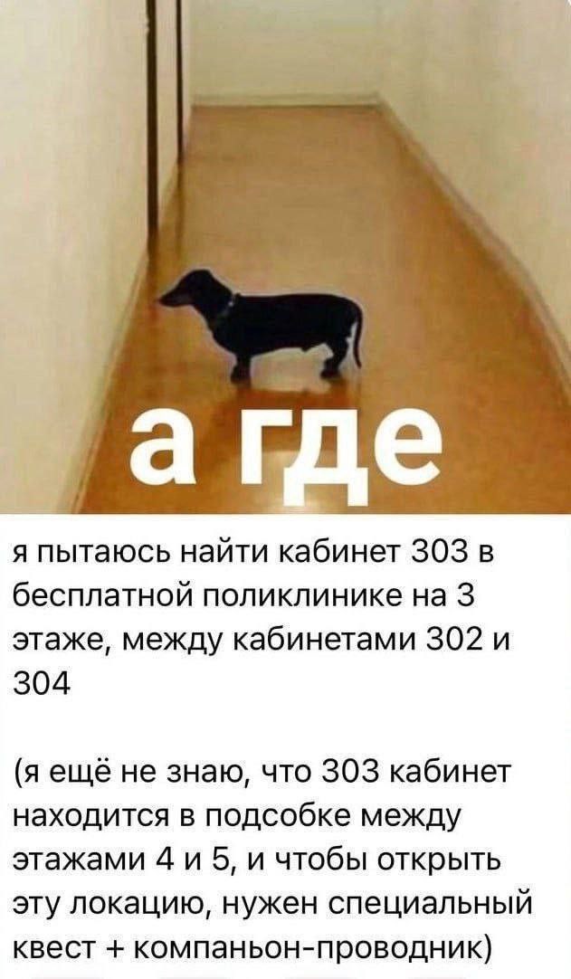 Отсутствие морально этических норм Vol.53