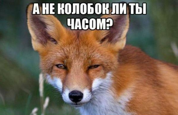 А ему сегодня уже 88