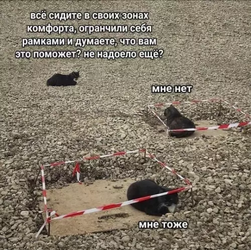 Картиночки, баянчики 24 февраля