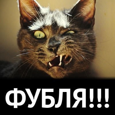 Гусары молчать!