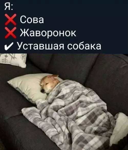 Вторник - день повторных