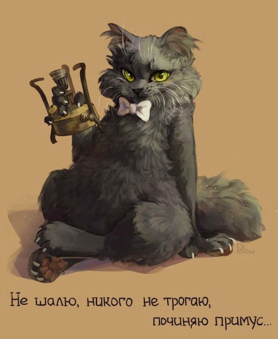 Завтрак для кота