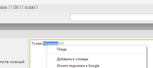 По факту оскорблений в Интернете Мизулиной