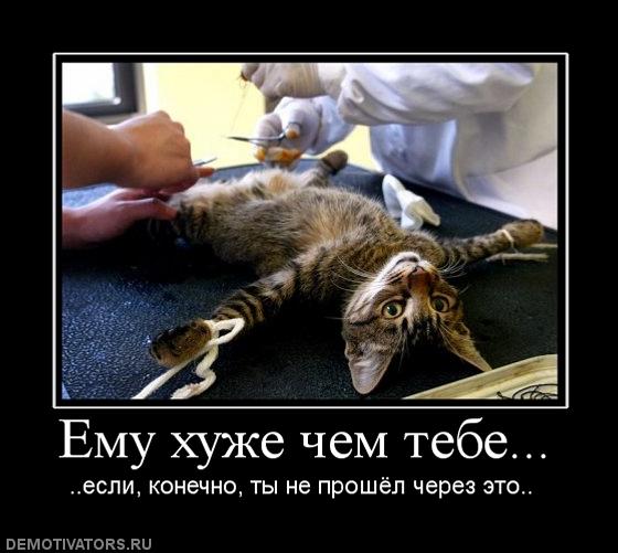 Личный сборник демотиваторов [~25]