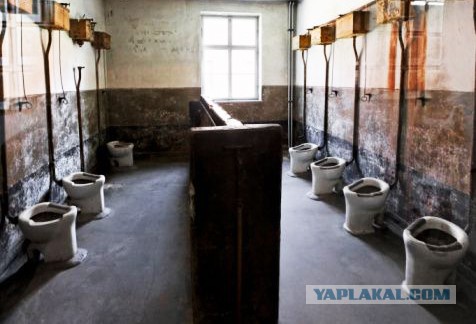 Олимпиада через задницу