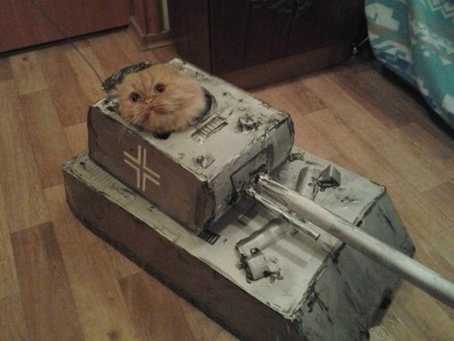 Wargaming 13