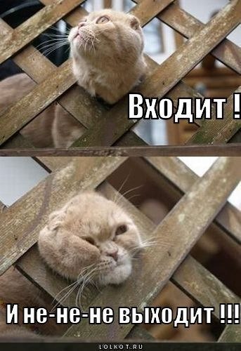 Застрял