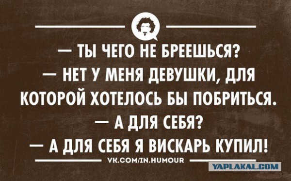 Весёлое из сети