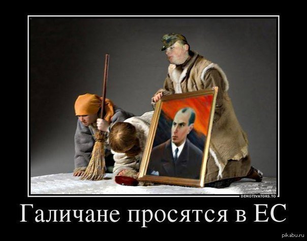 Мыздобулы в картинках