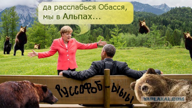 О чем это они?