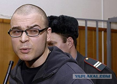 Дружная семейка