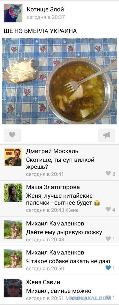 Смешные комментарии из социальных сетей