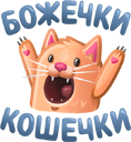 Жизнь домашнего приюта для котеек 68