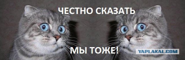 Лексус vs Пирожок Архипо-Осиповка