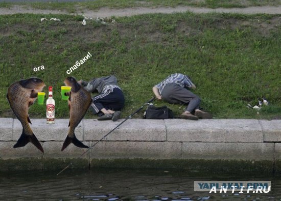 Зимняя рыбалка!