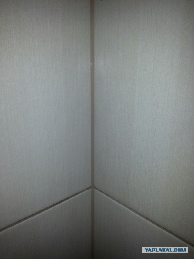 Боремся с плесенью