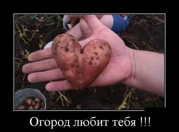 Подборка прикольных фото на пятницу