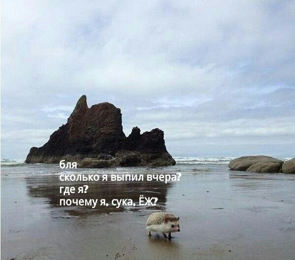 картинки на выходные