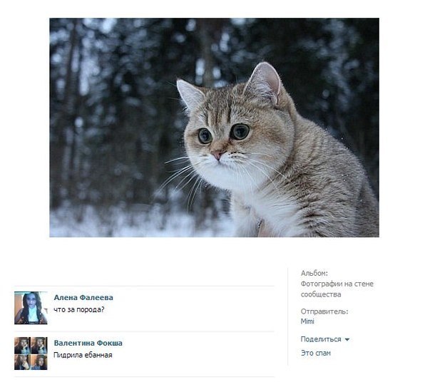 картинки на выходные