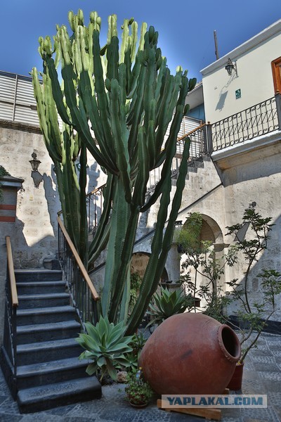 Отчет о путешествии в  Перу