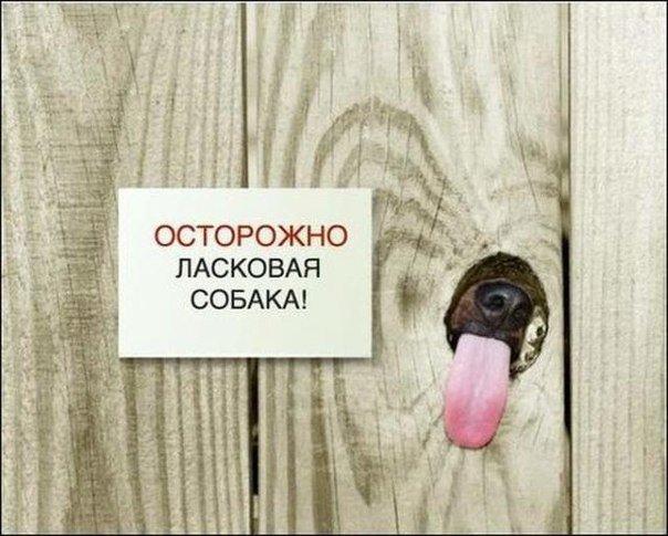 А давайте улыбнёмся