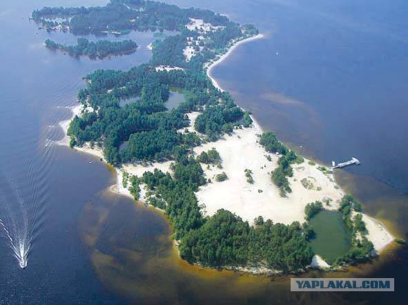 Я узнал, что у меня есть огромная семья