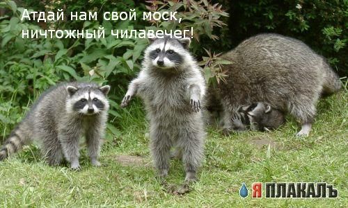 Разборки
