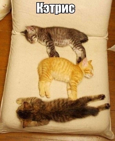 Свежая, утренняя, подборка картинок.