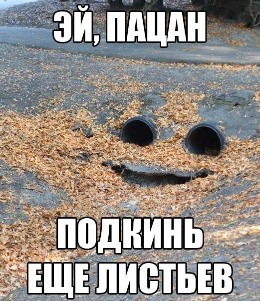 Подборка интересных и смешных картинок