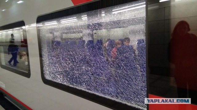 Открытие МЦК или бубуины среди нас