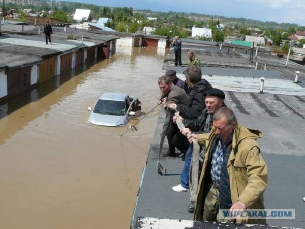 Весёлые картинки из интернета