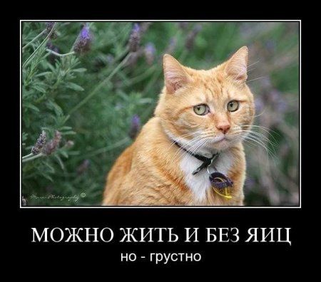 Корнем об корень... 16+