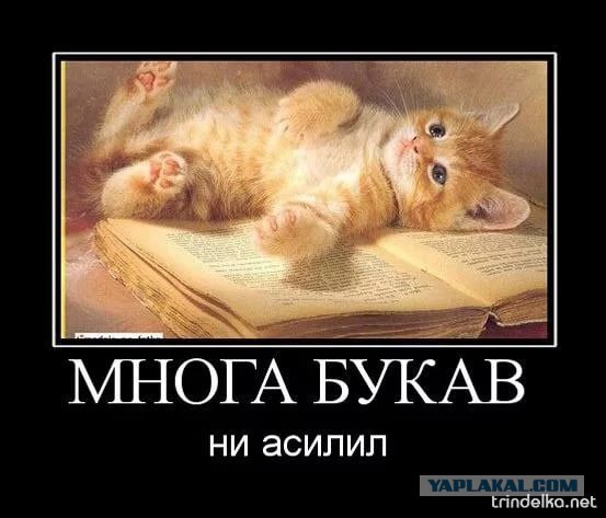 Измена (как её не назови). Помогите советом!