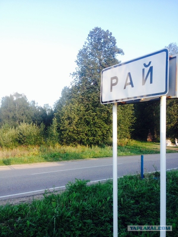Чудики из социальных сетей